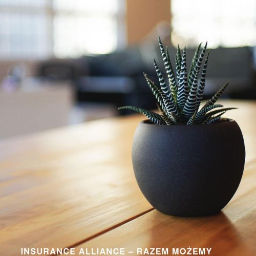 Gdańsk - współpraca z ubezpieczalniami