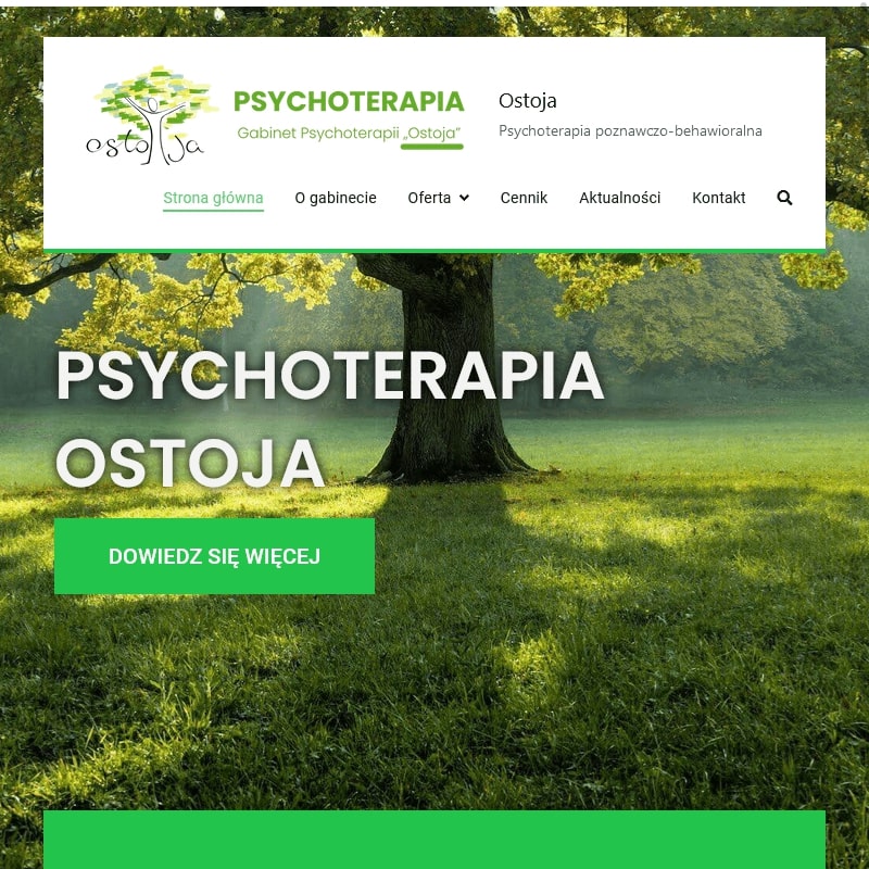 Psychoterapeuta młodzieży Warszawa